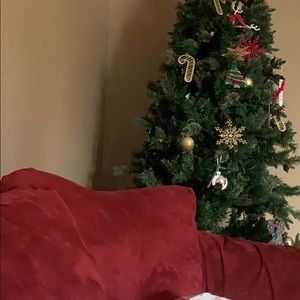 Meet your Posher, Sean